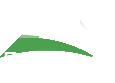 Evergreen Roofing